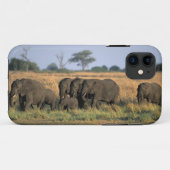 Botswana, Chobe National Park, Elephant herd Case-Mate iPhone Case (Back (Horizontal))