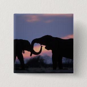 Botswana, Chobe National Park, Elephants 15 Cm Square Badge