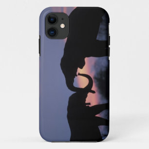 Botswana, Chobe National Park, Elephants iPhone 11 Case