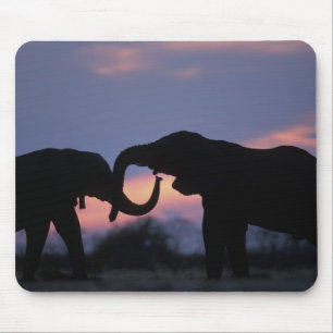 Botswana, Chobe National Park, Elephants Mouse Mat