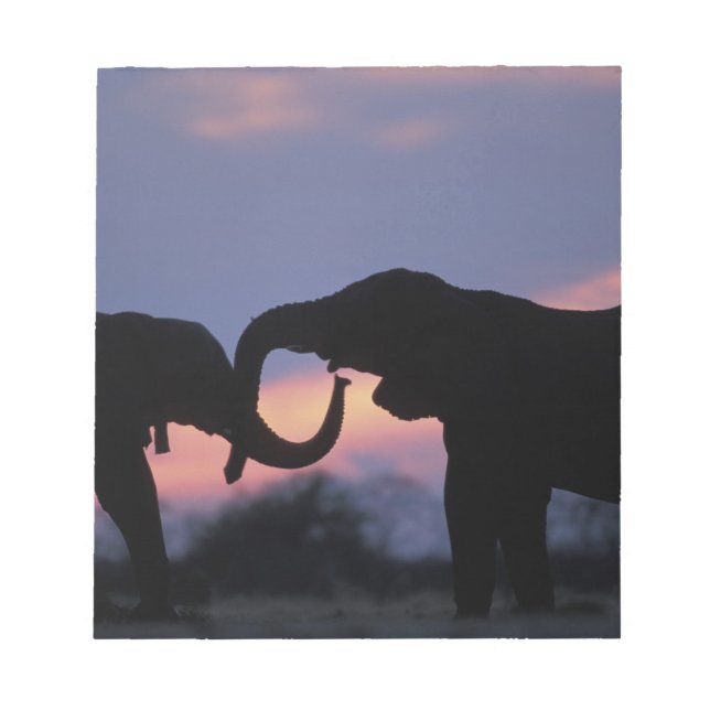 Botswana, Chobe National Park, Elephants Notepad (Front)
