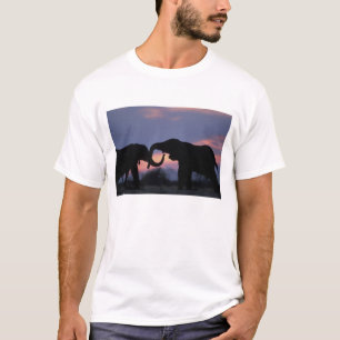 Botswana, Chobe National Park, Elephants T-Shirt