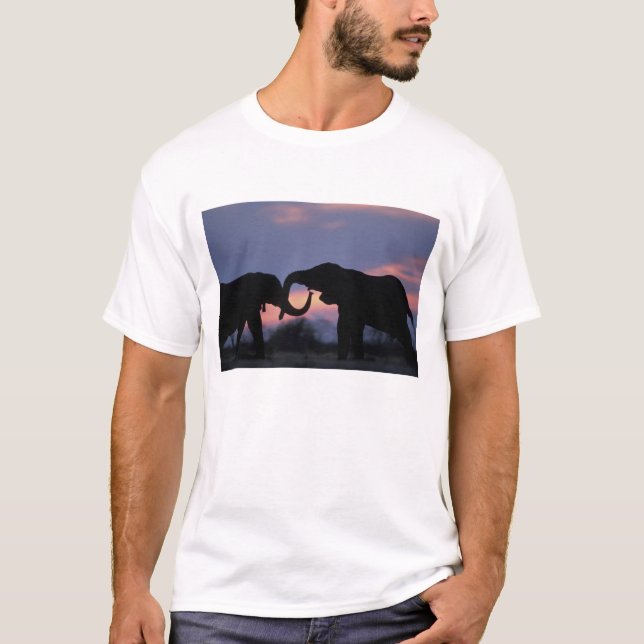 Botswana, Chobe National Park, Elephants T-Shirt (Front)