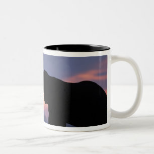 Botswana, Chobe National Park, Elephants Two-Tone Coffee Mug