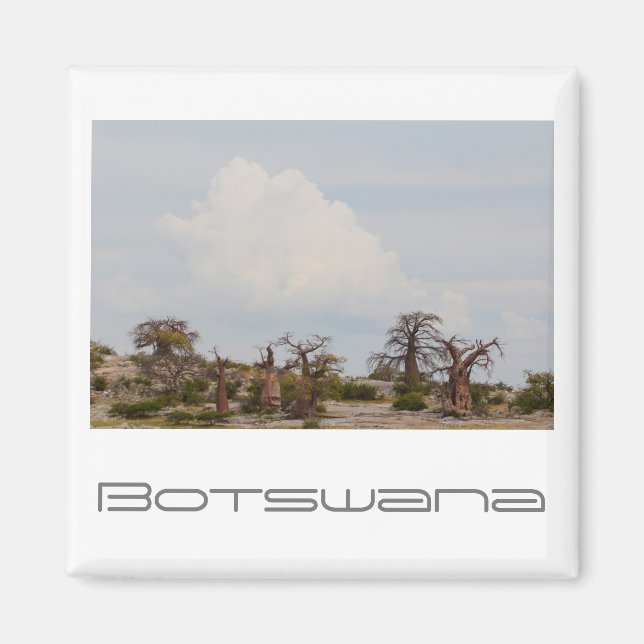 Botswana Kubu Baobab Island Go Travel Magnet (Front)