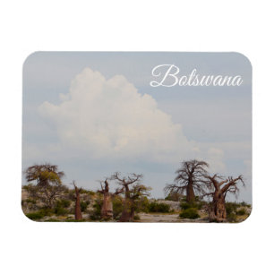 Botswana Kubu Baobab Island Go Travel Magnet