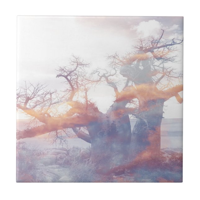 Botswana Kubu Island Baobab Tree Tile (Front)