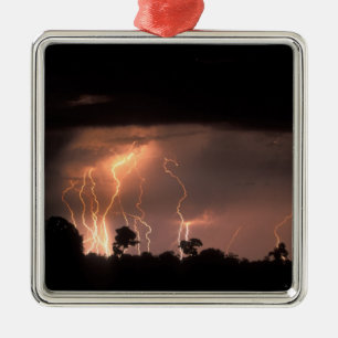 Botswana, Moremi Game Reserve, Lightning fills Metal Tree Decoration