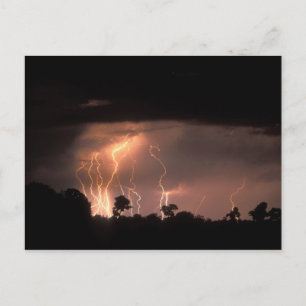 Botswana, Moremi Game Reserve, Lightning fills Postcard