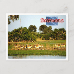 Botswana - postcard