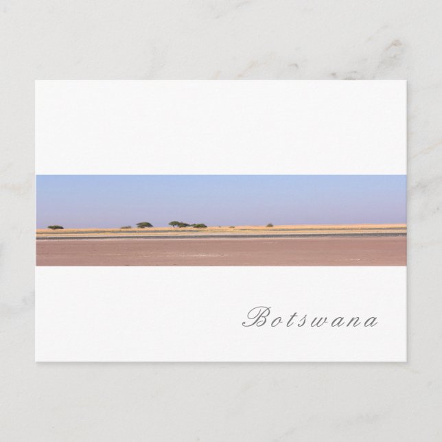 Botswana Salt Pans Savannah Grass Landscape Postcard (Front)