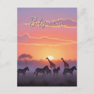 Botswana sunset travel postcard