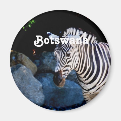 Image of Botswana Zebra Magnet