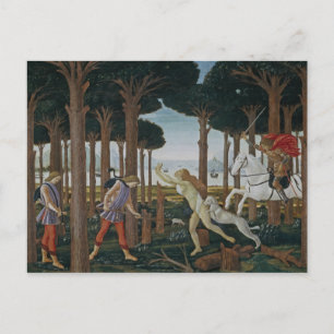Botticelli Renaissance Painting Postcard