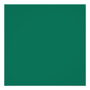 Bottle green (solid colour)  photo print