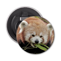 bottle opener Photo red panda , animals 0104.
