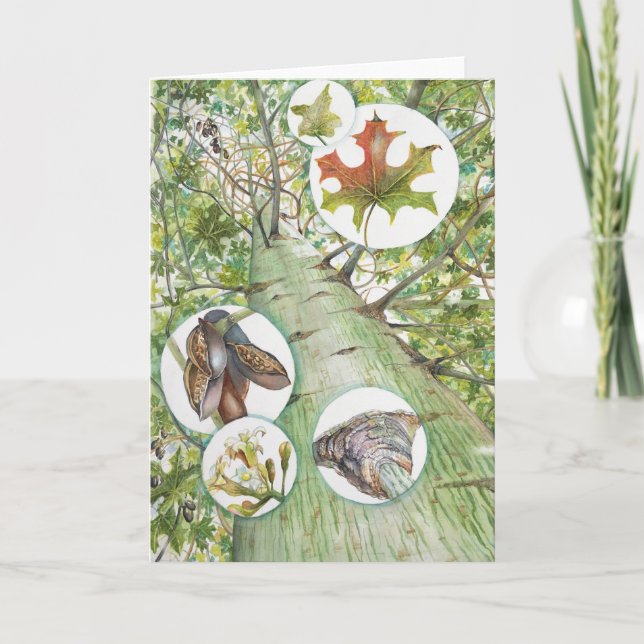 Bottle Tree Greeting Card (5" x 7") with Envelope (Front)