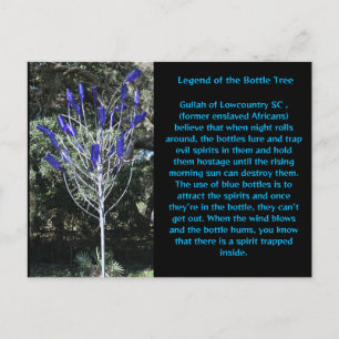 Bottle tree South Carolina Postcard