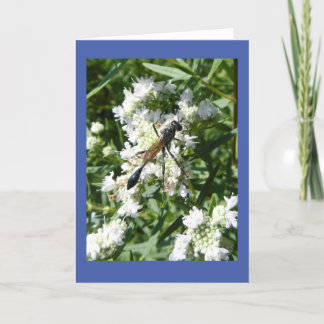 Bottle Wasp on Mountain Mint Blank Note Card