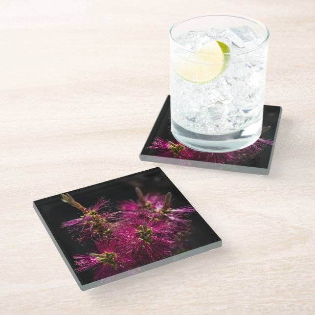 Bottlebrush Glass Coaster, Bottlebrush Coaster (Angled)