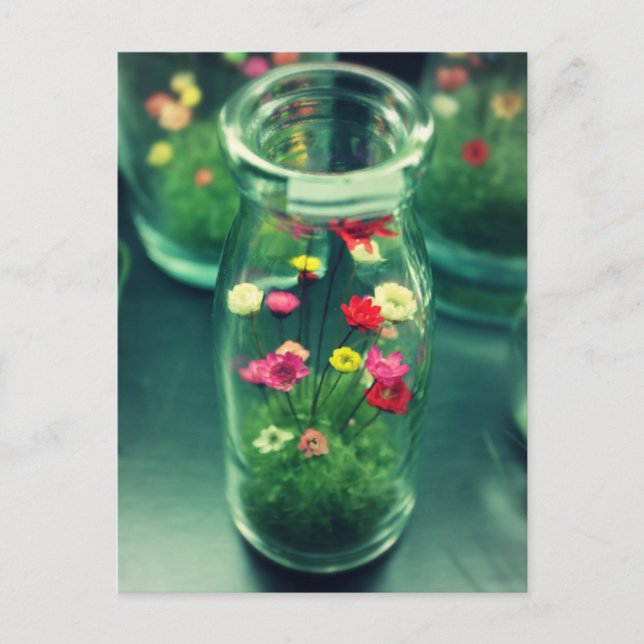 Bottled Flowers Postcard (Front)