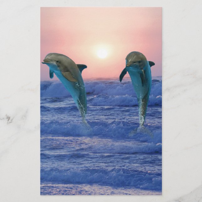 Bottlenose Dolphin at Sunrise (Front)