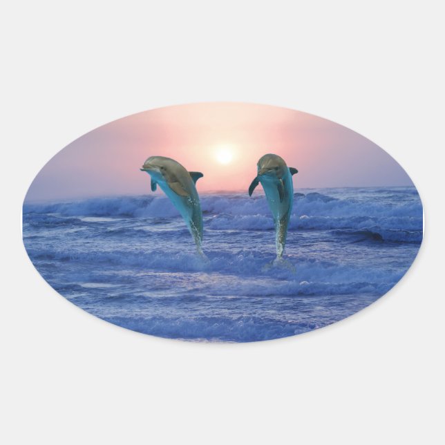 Bottlenose Dolphin at Sunrise Oval Sticker (Front)