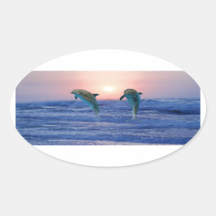 Bottlenose Dolphin at Sunrise Oval Sticker