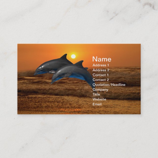 Bottlenose Dolphin at Sunset Business Card (Front)