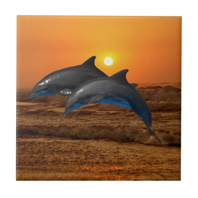 Bottlenose Dolphin at Sunset Tile (Front)