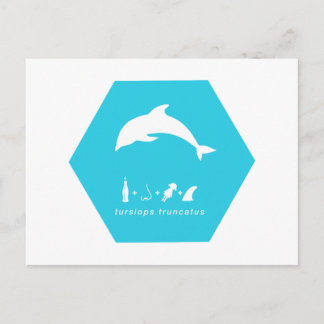 bottlenose dolphin blue hex.png postcard