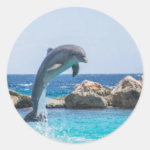 Bottlenose Dolphin Classic Round Sticker