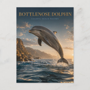 Bottlenose Dolphin Coastal Ocean ANIMALS Postcard