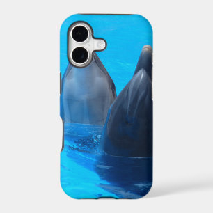bottlenose dolphin fish marine ocean under water