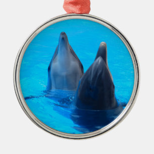 bottlenose dolphin fish marine ocean under water metal tree decoration