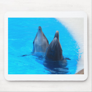 bottlenose dolphin fish marine ocean under water mouse mat