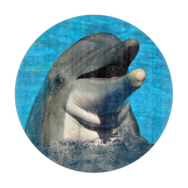 Bottlenose dolphin head cutting board (Front)