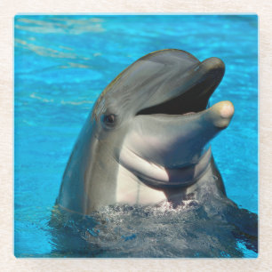 Bottlenose dolphin head glass coaster