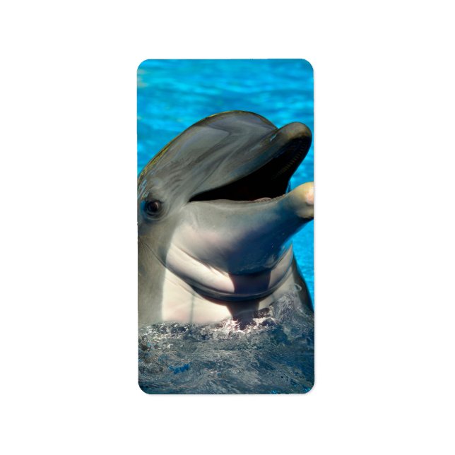 Bottlenose dolphin head label (Front)