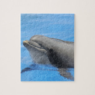 Bottlenose dolphin jigsaw puzzle