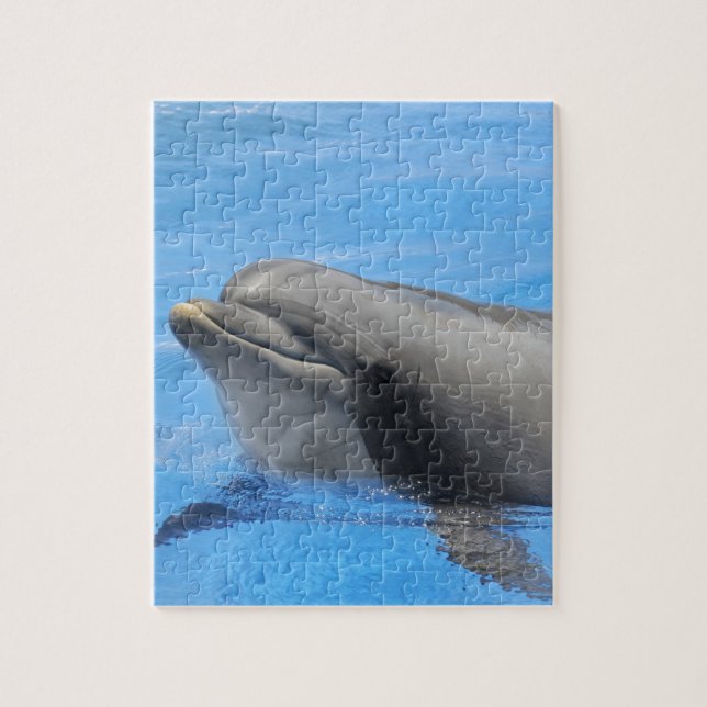 Bottlenose dolphin jigsaw puzzle (Vertical)