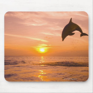 Bottlenose Dolphin jumping 2 Mouse Mat