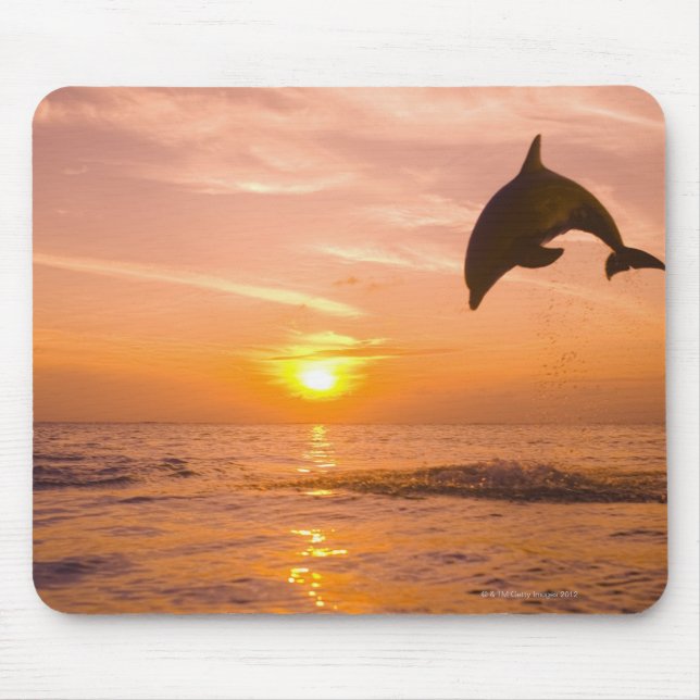 Bottlenose Dolphin jumping 2 Mouse Mat (Front)