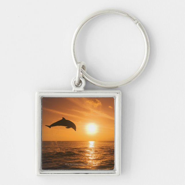 Bottlenose Dolphin jumping Key Ring (Front)