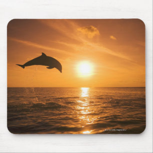 Bottlenose Dolphin jumping Mouse Mat