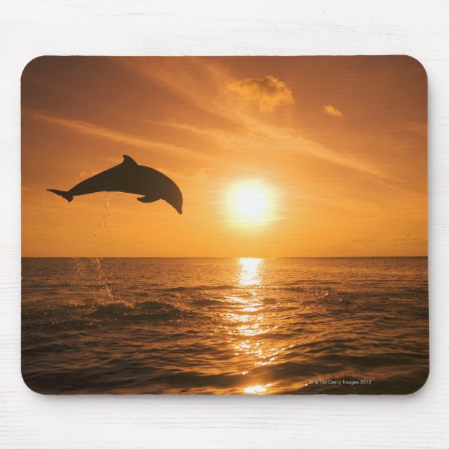 Bottlenose Dolphin jumping Mouse Mat (Front)