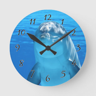 Bottlenose Dolphin looks at the camera under water Round Clock
