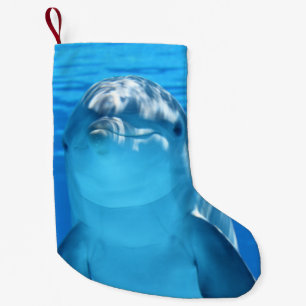 Bottlenose Dolphin looks at the camera under water Small Christmas Stocking