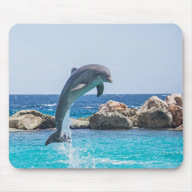 Bottlenose Dolphin Mouse Mat (Front)
