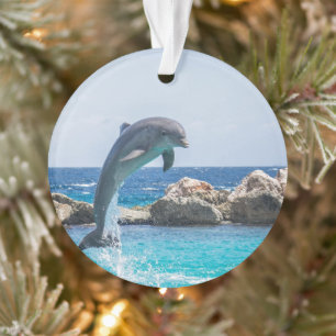 Bottlenose Dolphin Ornament